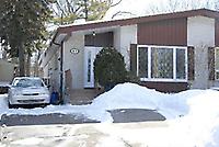 61 Northey Dr
