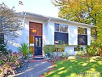 546 Mount View
