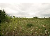 00 Boundary Rd