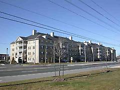 7428 Markham Rd, Markham, Ontario, L3S4V6
