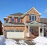 8 Raccoon St
