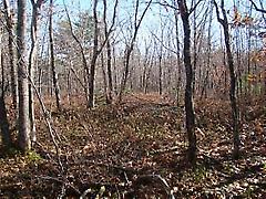 Lot 6 Sunnylea Rd, Wellington, Nova Scotia, B2T1A2