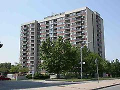 99 Blackwell Ave, Toronto, Ontario, M1B3R5