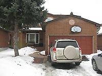 1330 Sweetbirch Crt