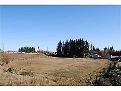9920 213 St, Edmonton, AB, T5T5X9