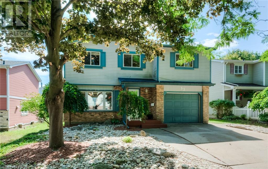 53 Mayfield Avenue, Waterloo (40025154) Zoocasa